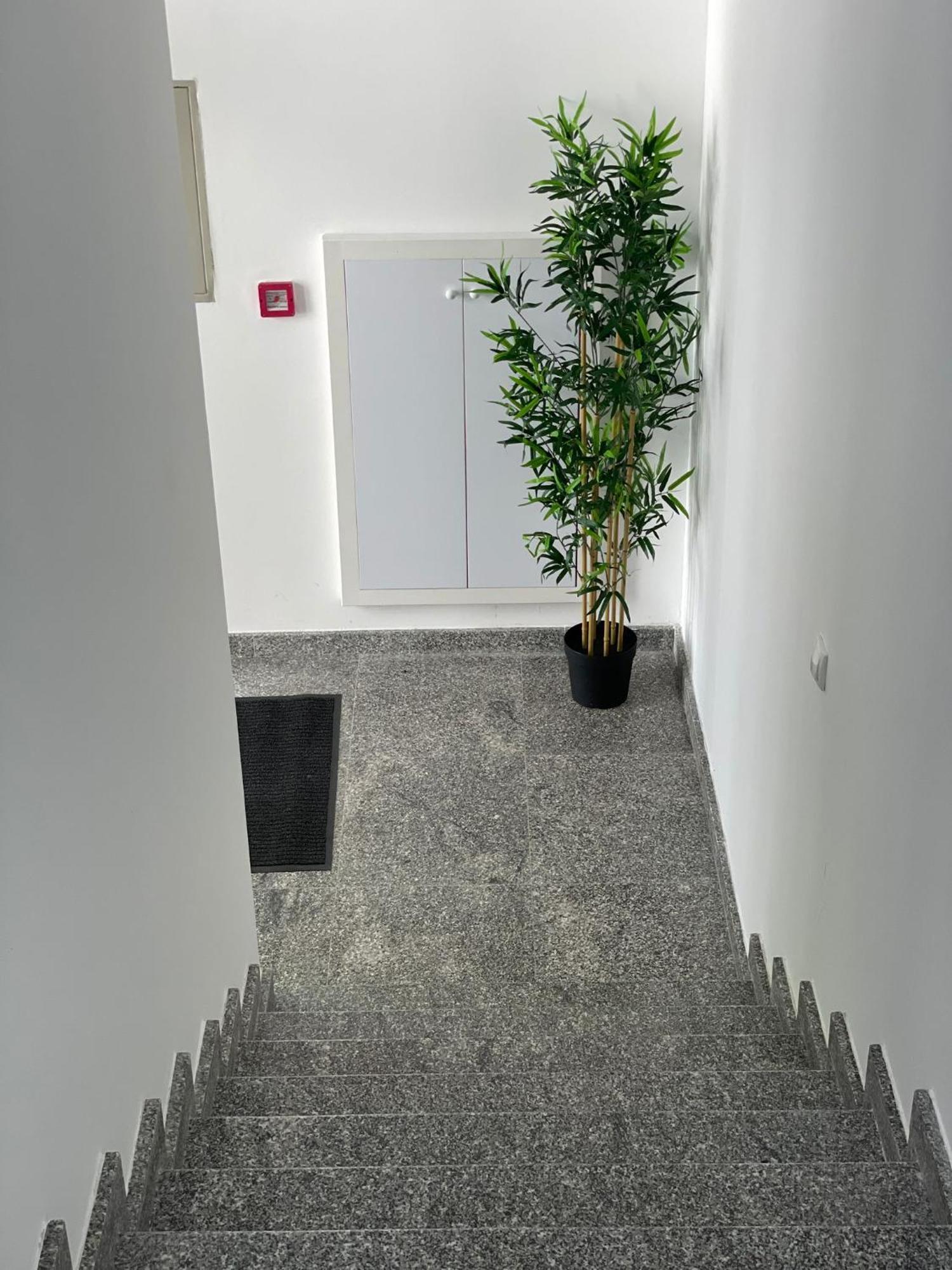 Morpheus Apartmani สเรมสกา มิโตรวิตซา ภายนอก รูปภาพ